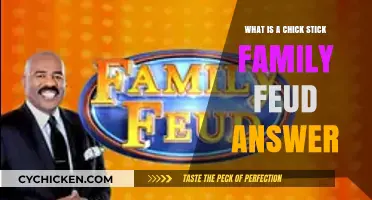 Chick Stick Family Feud Answer Explained: Unraveling the Viral Debate