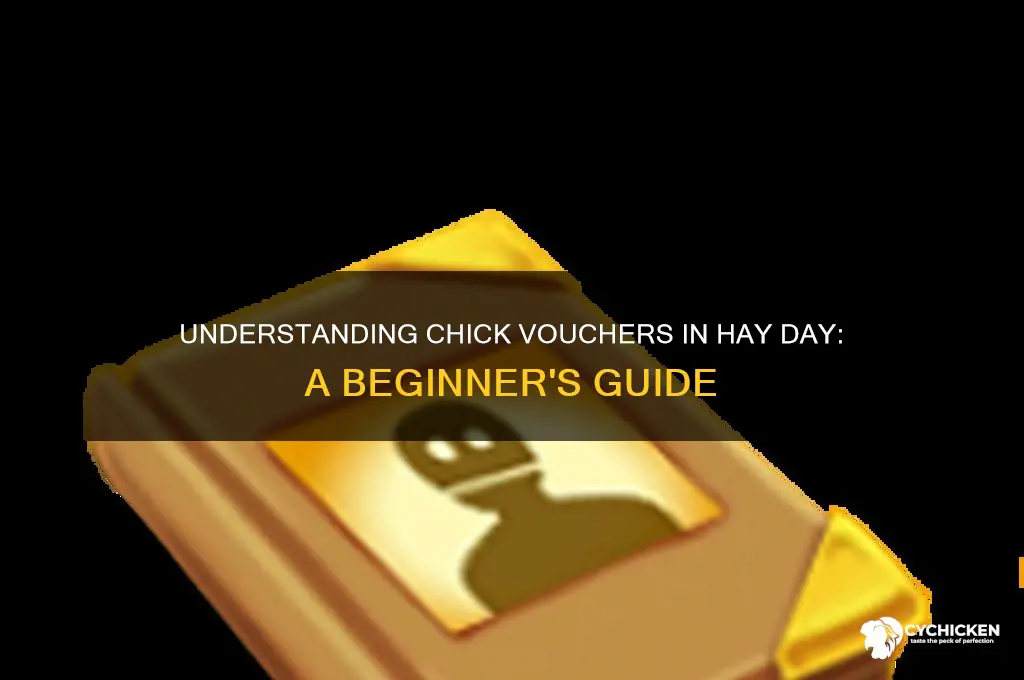 what is a chick voucher in hay day
