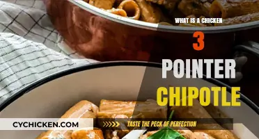 Chicken 3-Pointer Chipotle: Unraveling the Spicy Mystery Dish
