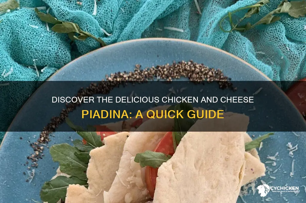 what is a chicken and cheese piadina
