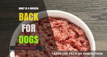 Chicken Backs for Dogs: Nutritional Benefits and Safe Feeding Tips