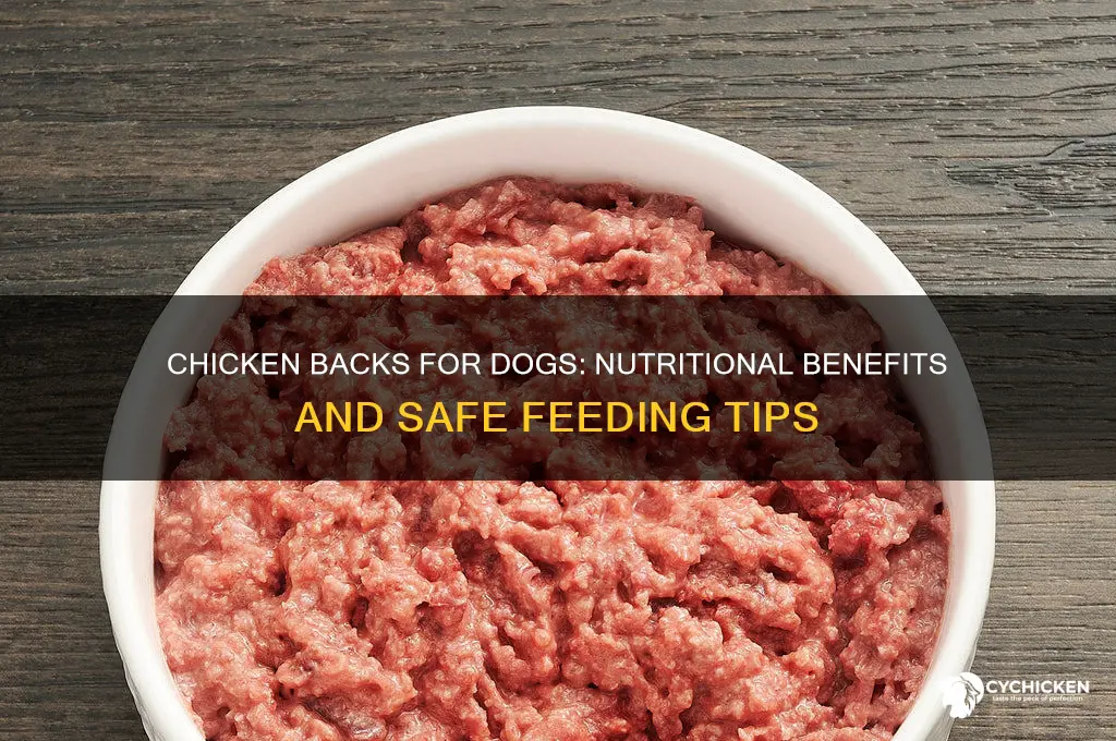 what is a chicken back for dogs