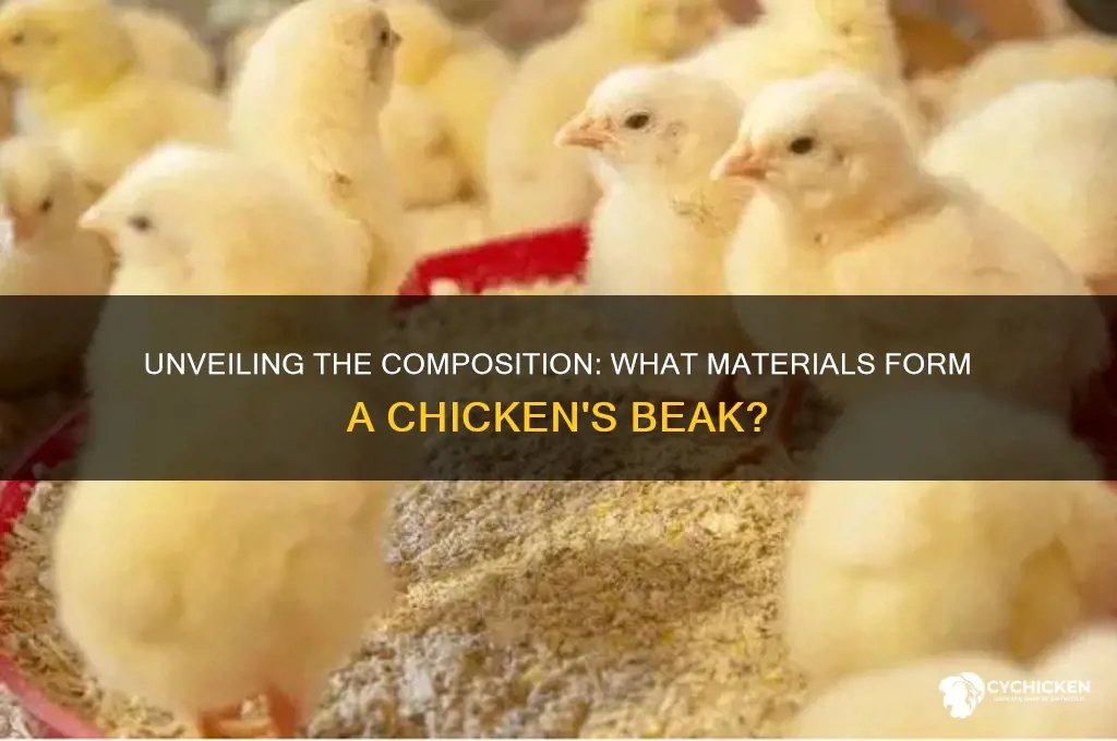 what is a chicken beak made of