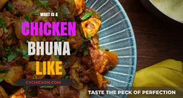 Exploring Chicken Bhuna: Flavors, Texture, and Culinary Experience Explained