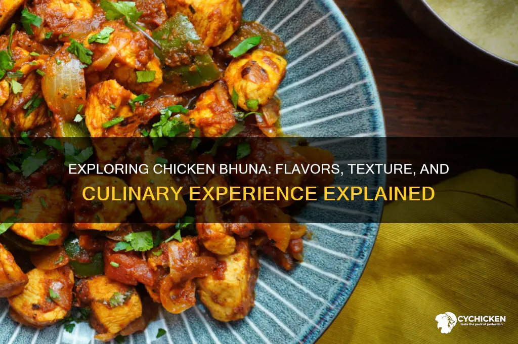 what is a chicken bhuna like