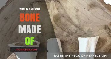 Unveiling the Composition: What Materials Make Up a Chicken Bone?