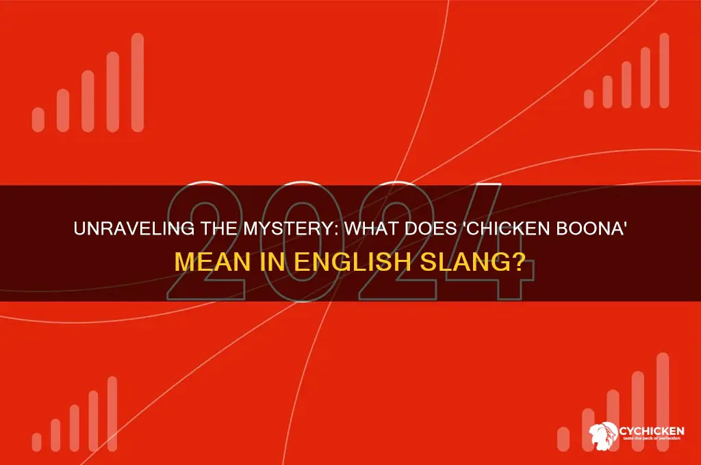 what is a chicken boona english slang