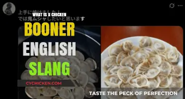 Understanding the Quirky British Slang Term 'Chicken Booner' Explained