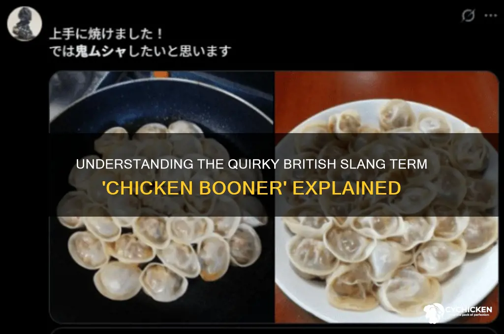 what is a chicken booner english slang