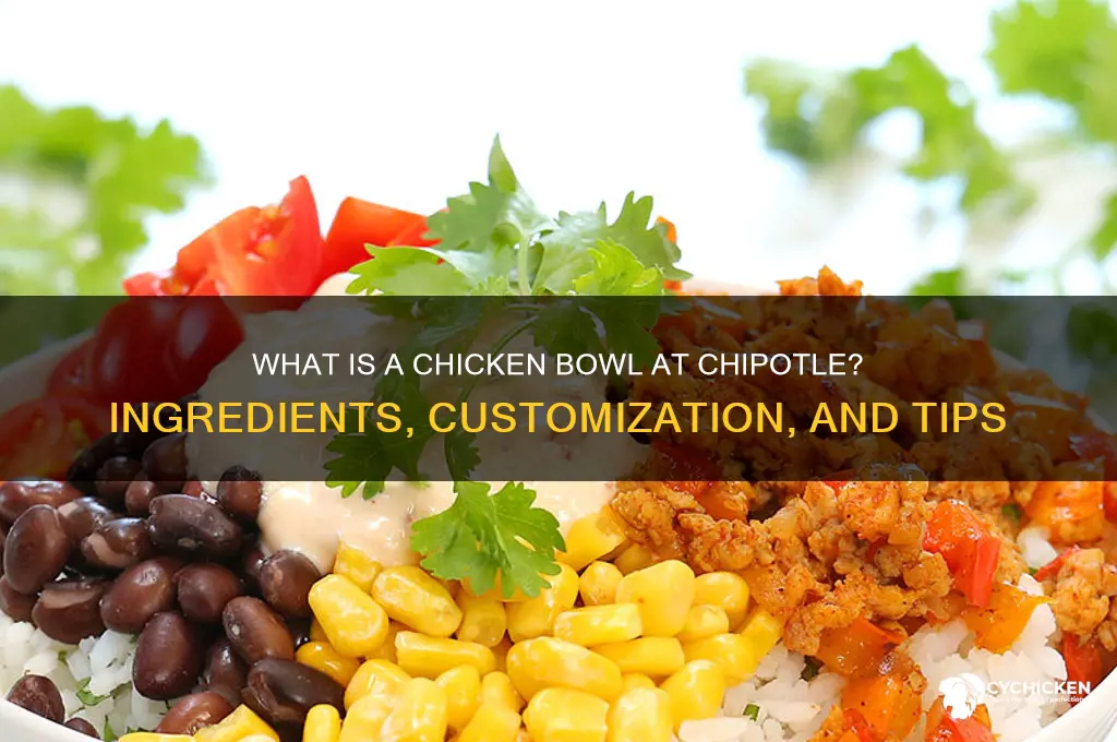 what is a chicken bowl in chipotle