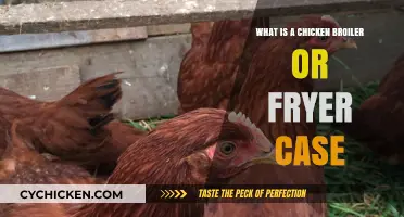 Understanding Chicken Broiler vs. Fryer Cases: A Comprehensive Guide