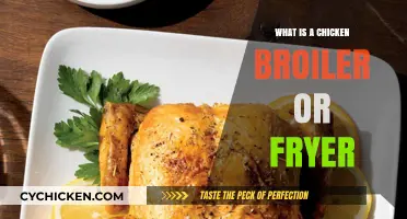 Understanding Chicken Broilers and Fryers: A Comprehensive Guide