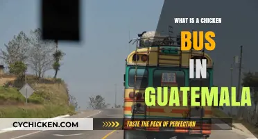 Exploring Guatemala's Colorful Chicken Buses: A Unique Travel Experience