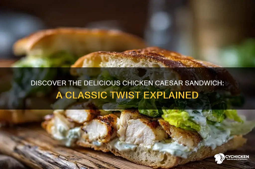 what is a chicken caesar sandwich