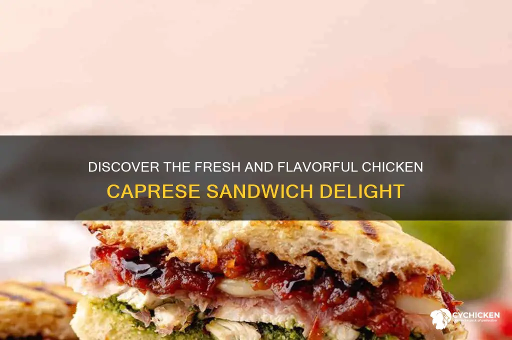 what is a chicken caprese sandwich