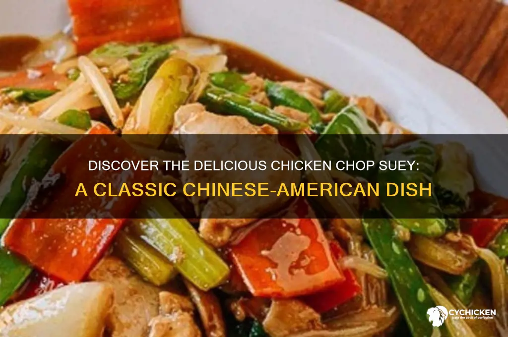 what is a chicken chop suey dish