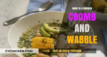Understanding Chicken Coombs and Wabbbles: A Beginner's Guide