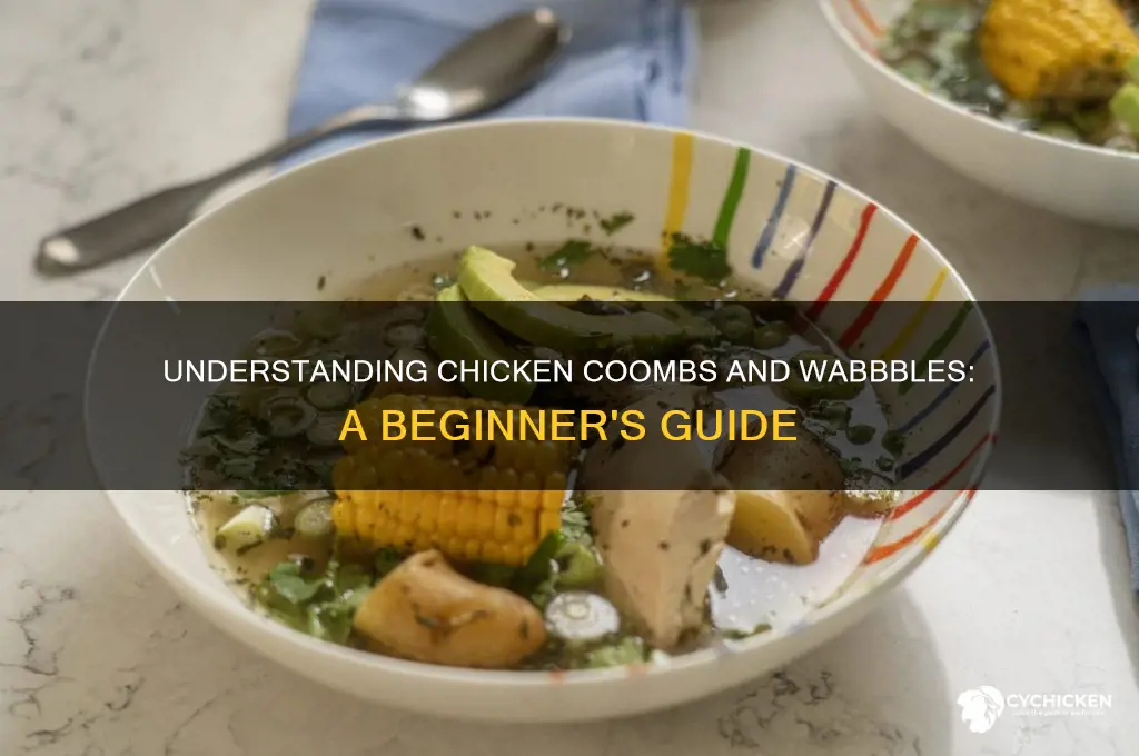 what is a chicken coomb and wabble