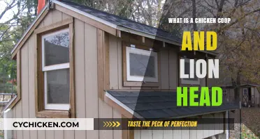 Exploring Chicken Coops and Lion Heads: A Unique Backyard Guide