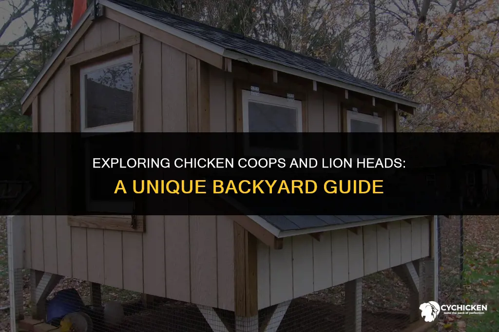 what is a chicken coop and lion head