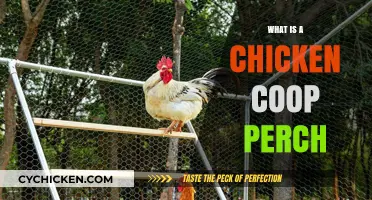 The Essential Guide to Chicken Coop Perches: Comfort and Health for Your Hens