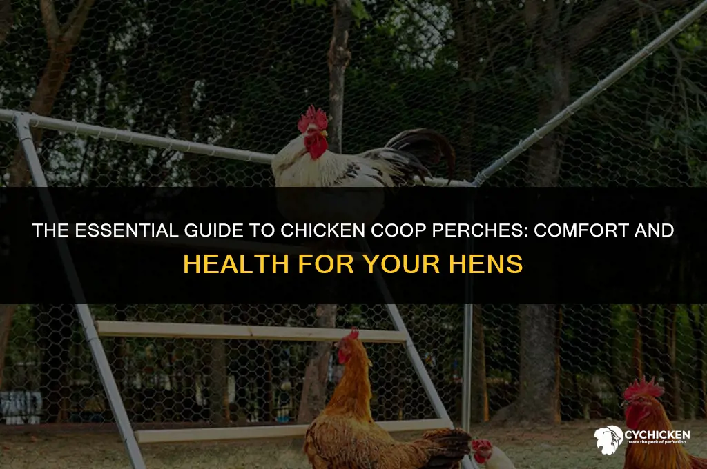 what is a chicken coop perch