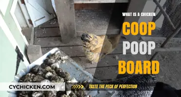 The Scoop on Chicken Coop Poop Boards: A Beginner's Guide