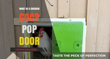The Essential Guide to Chicken Coop Pop Doors: Benefits and Installation Tips