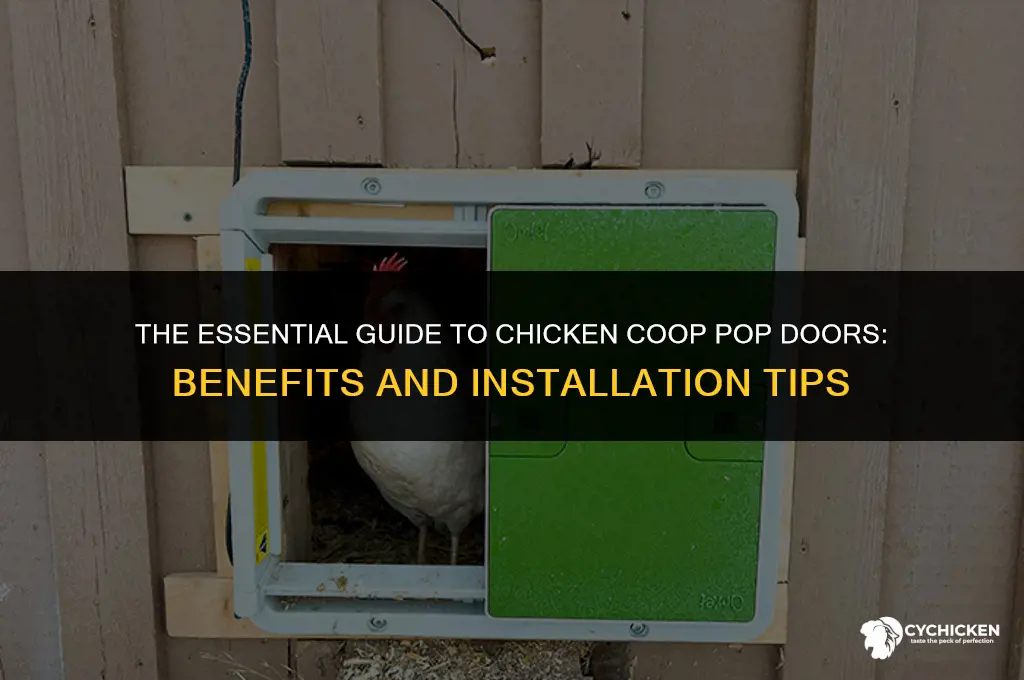 what is a chicken coop pop door