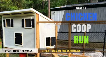 Understanding Chicken Coop Runs: A Guide for Poultry Enthusiasts