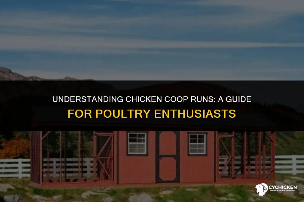 what is a chicken coop run