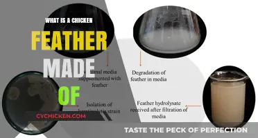 Unveiling the Surprising Composition of a Chicken Feather