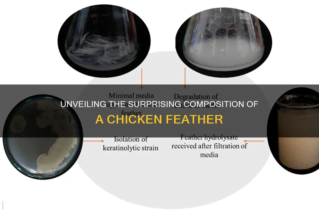 what is a chicken feather made of