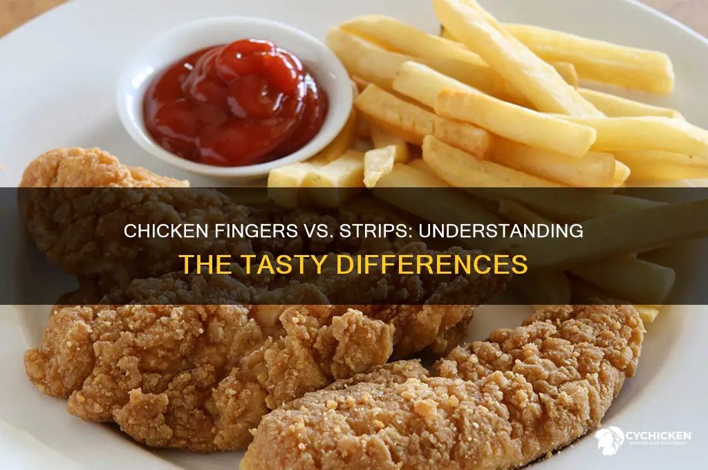 what is a chicken finger vs strip