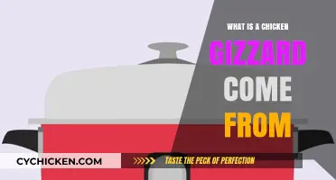Understanding Chicken Gizzards: Origin, Function, and Culinary Uses Explained