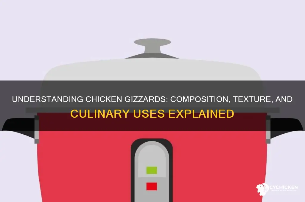 what is a chicken gizzard made of