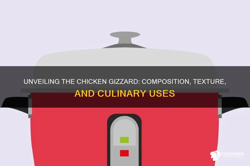 what is a chicken gizzard made out of