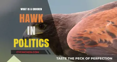 Understanding the Term 'Chicken Hawk' in Political Discourse