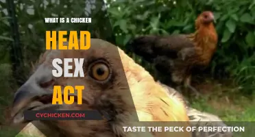 Exploring the Chicken Head Sex Act: Meaning, Technique, and Controversy