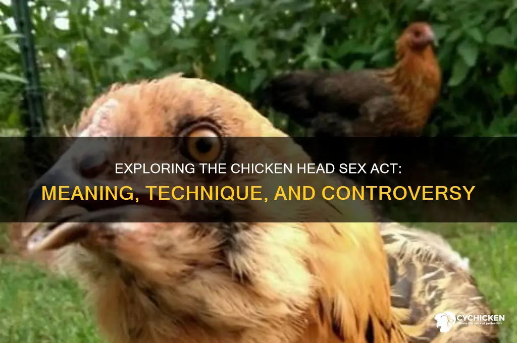 what is a chicken head sex act