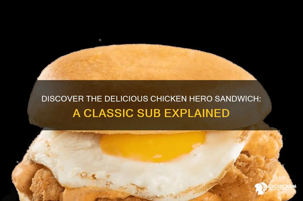 what is a chicken hero sandwich