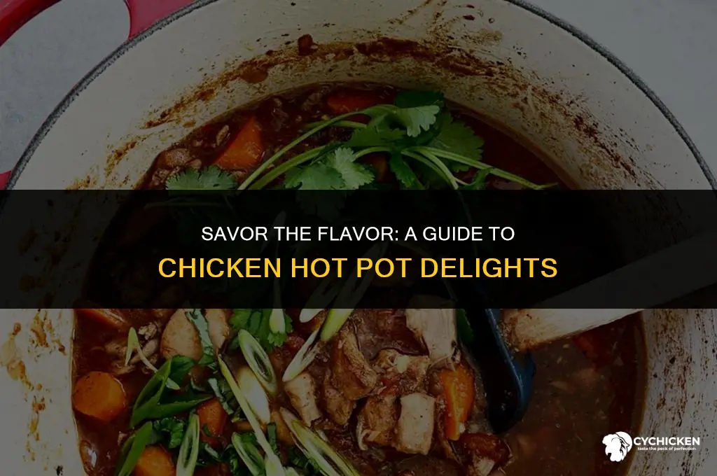 what is a chicken hot pot
