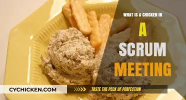 Understanding the Role of a Chicken in Scrum Meetings