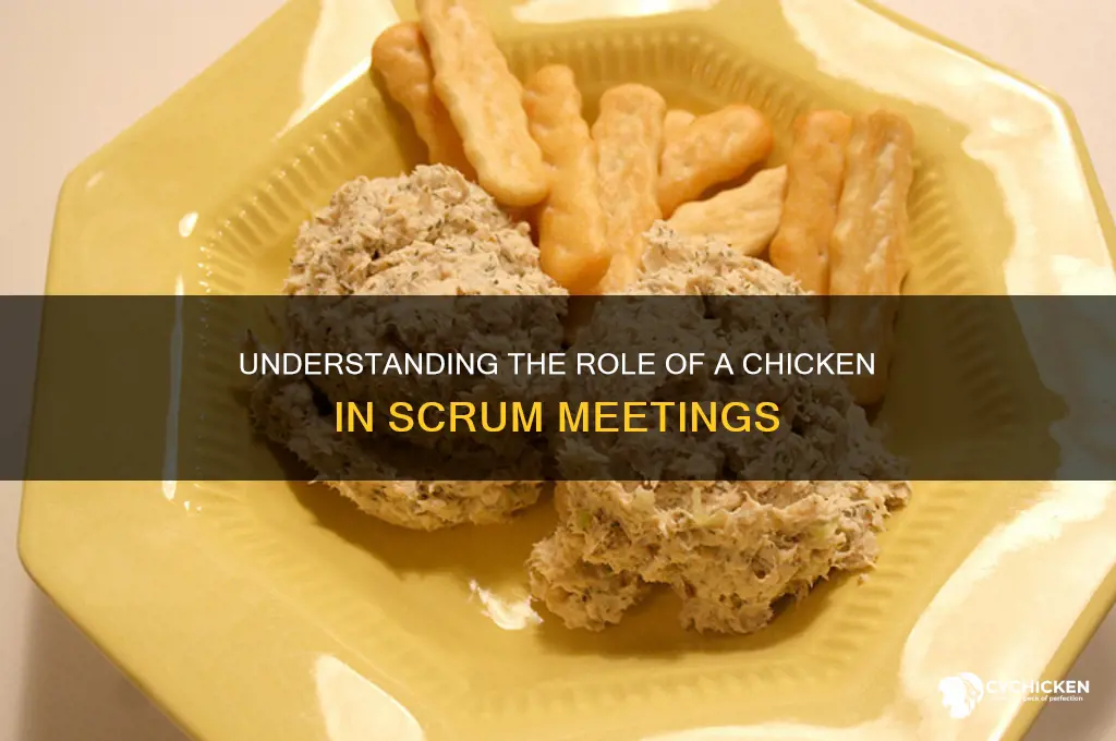 what is a chicken in a scrum meeting