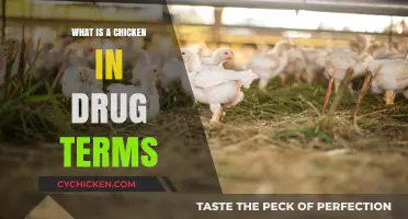 Understanding the Slang: What Does 'Chicken' Mean in Drug Culture?