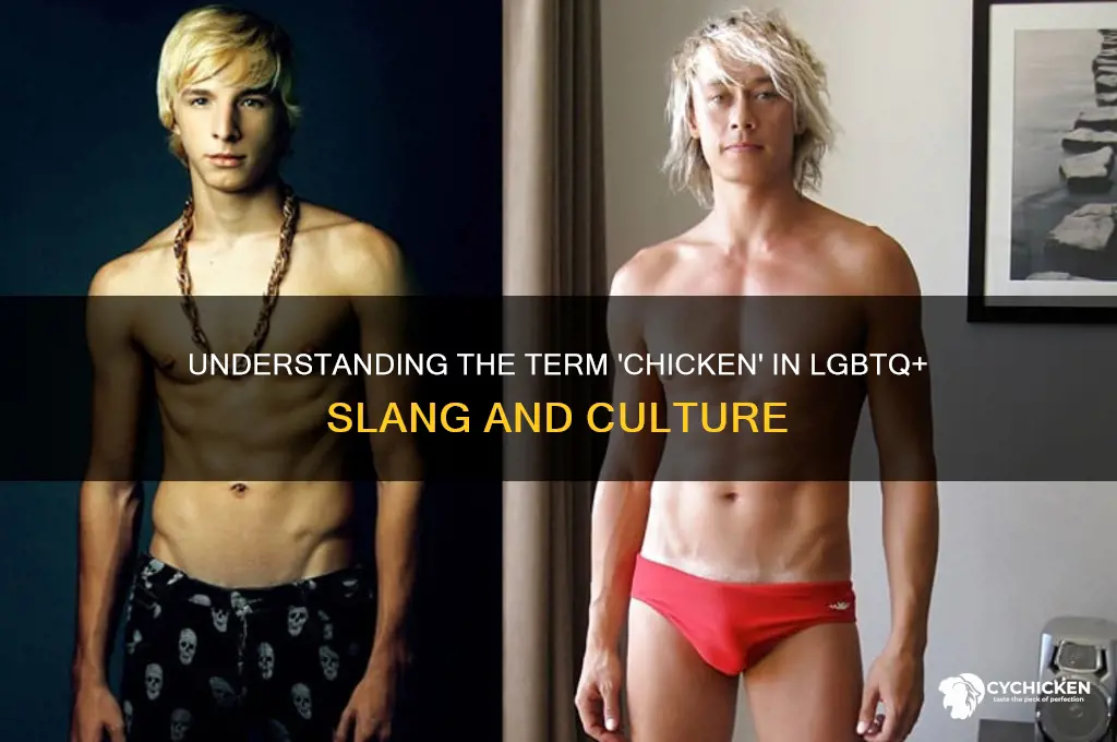 what is a chicken in gay terms
