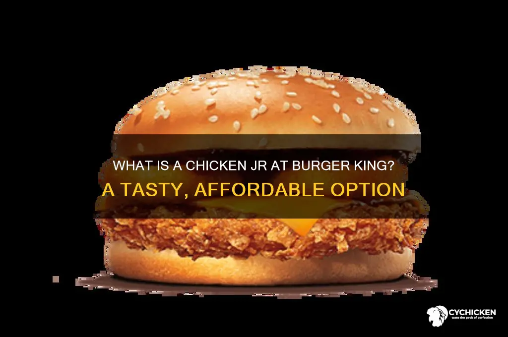 what is a chicken jr at burger king