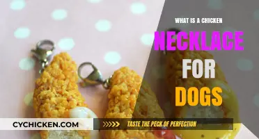 Understanding Chicken Necklaces: A Unique Dog Accessory Explained