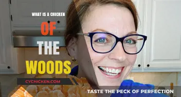 Discover the Vibrant Chicken of the Woods Mushroom: A Forager's Guide