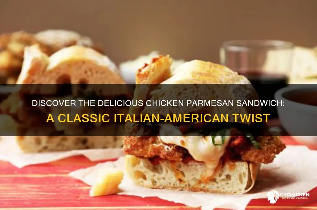 what is a chicken parmesan sandwich